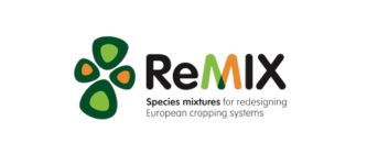 Remix logo