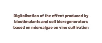 Digitalisation of the effect produced by biostimulants and soil bioregenerators based on microalgae on vine cultivation